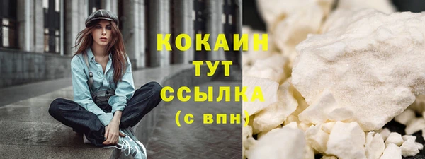 гашик Арсеньев