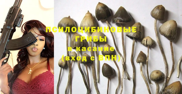 мескалин Пересвет