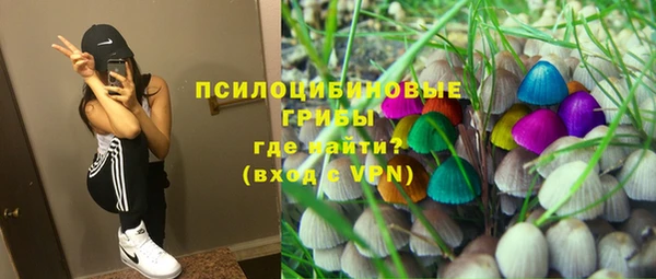 гашик Арсеньев